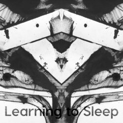 Learning to Sleep