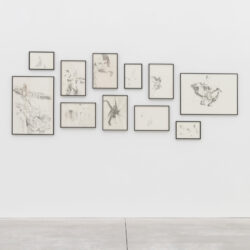 Ausstellungskuratierung (1h)