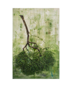 Birth of Gravity (Kunstdruck, 60x50cm)